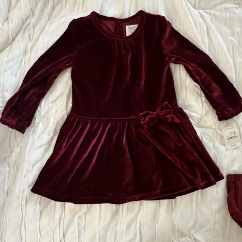 Just one you by Carters Baby girl Velour dress with diaper cover 24 months